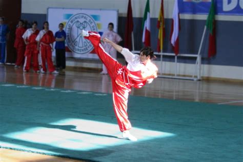 china police national head coach martial arts wushu